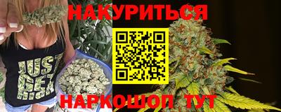 молекула духа Шебекино