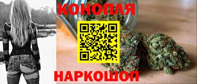 тгк Шахты