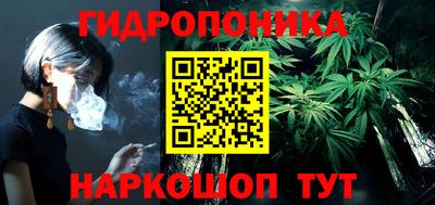 молекула духа Шебекино