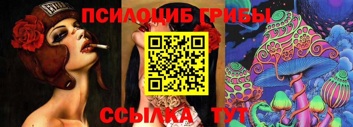 Баксан  Галлюциногенные грибы MAGIC MUSHROOMS  Вход с VPN 